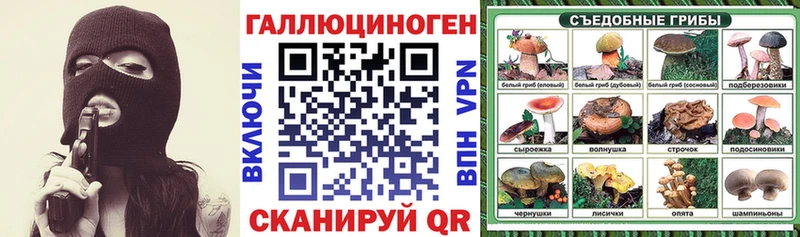 кракен как зайти  Новотитаровская  Галлюциногенные грибы Cubensis 